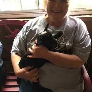 Meet your Posher, Desiree